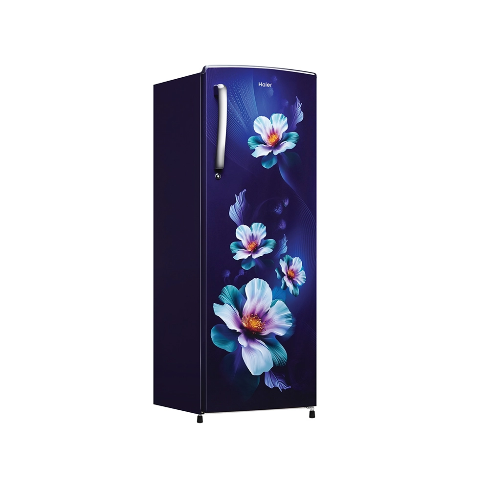 Haier 235L 2 Star MarineKaren Single Door Refrigerator 